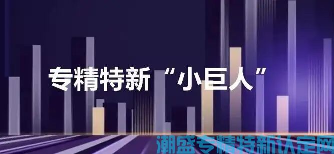 四川省专精特新“小巨人”企业奖励政策优惠政策