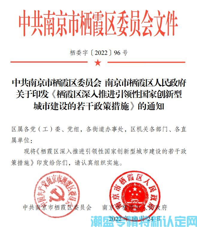 南京市栖霞区"专精特新"奖励政策：栖霞区深入推进引领性国家创新型城市建设的若干政策措施