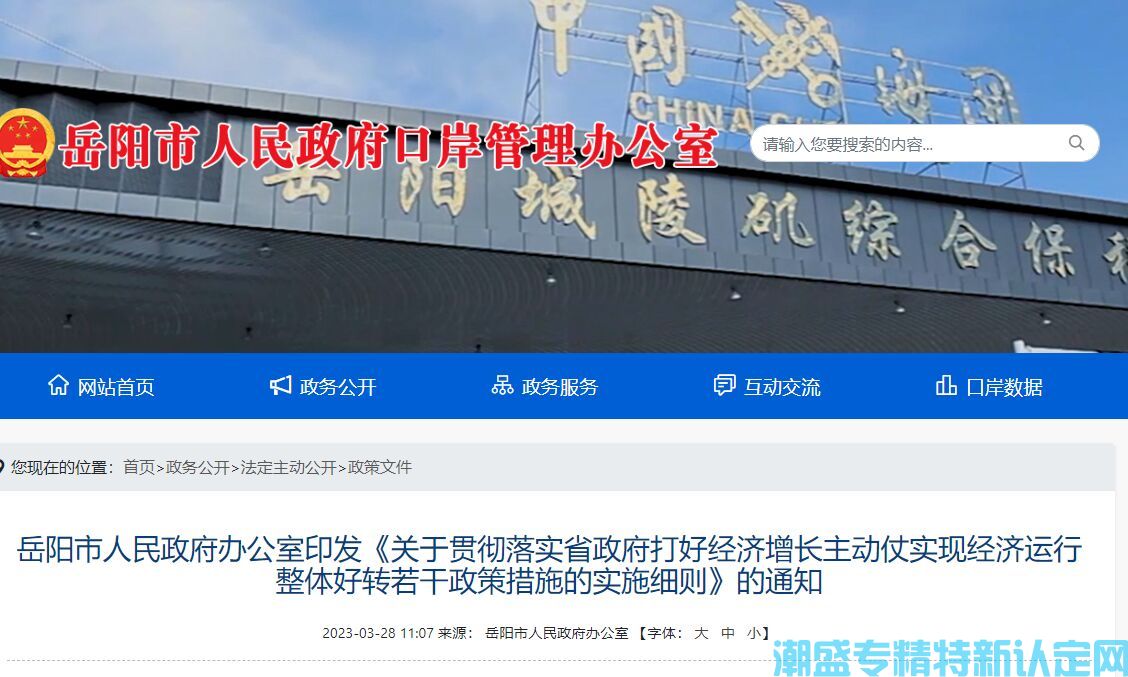 岳阳市"专精特新"奖励政策：关于贯彻落实省政府打好经济增长主动仗实现经济运行整体好转若干政策措施的实施细则