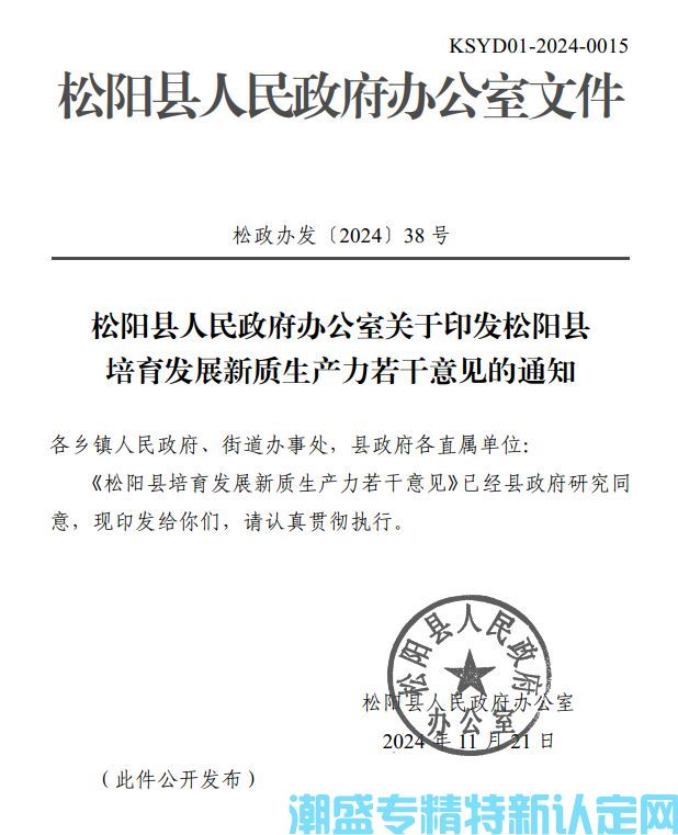 丽水市松阳县"专精特新"奖励政策：松阳县培育发展新质生产力若干意见